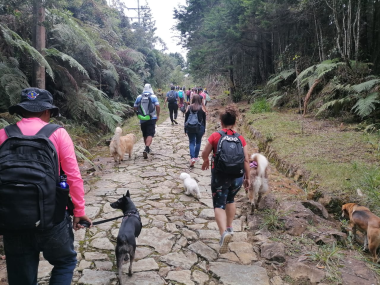 "CAMINATA CANINA" ¡QUE PARCHE!!